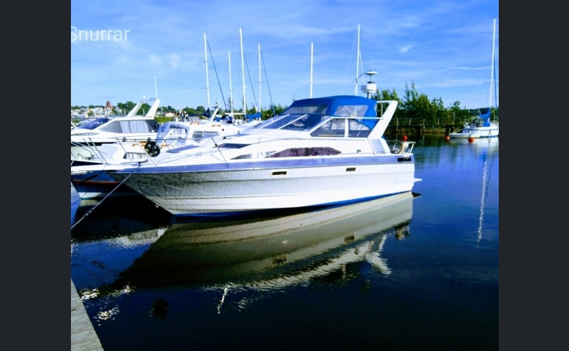 Bayliner 2655 Cierra Sunbridge-kuva-9